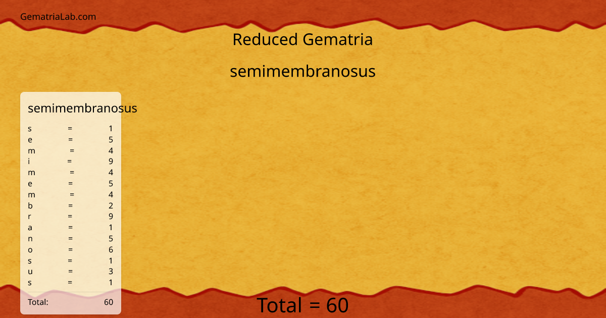 semimembranosus in reduced Gematria